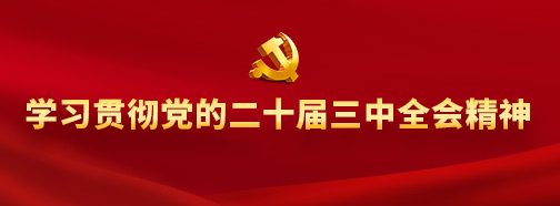 學習貫徹黨的二十屆三中全會精神